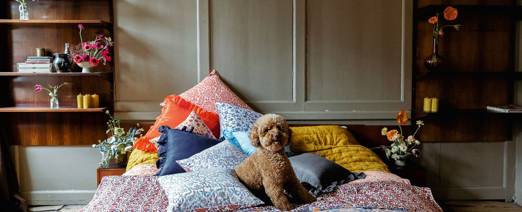 Brown poodle dog on a bed covered in blue, orange, red and pink cushions and quilts with flowers on the bedside tables. 
