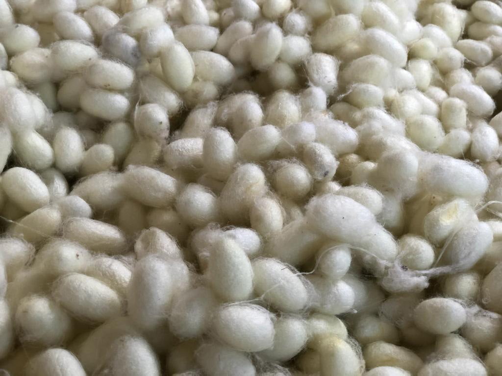 A close up image of organic wool balls